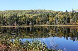 Lac-Saint-Jean naar Shawinigan